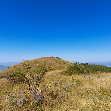 艾尔森地罗住宿加早餐旅馆 阿西西 外观 照片