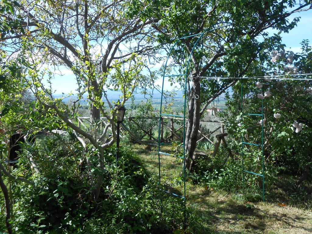 艾尔森地罗住宿加早餐旅馆 阿西西 外观 照片
